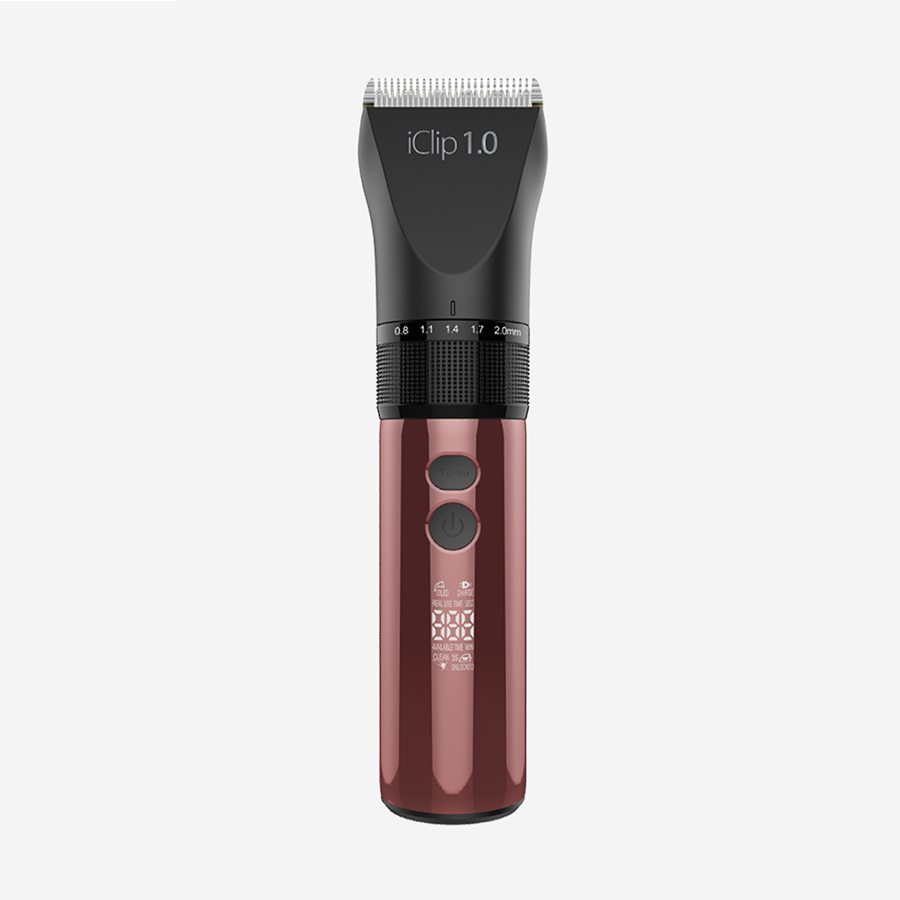 iClip 1.0 GIUBRA ברבר אביזרים